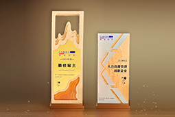 太阳成集团tyc234cc官网国际一举斩获“2024年度中国区最佳雇主”等多项大奖