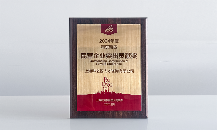 人力资源供应商太阳成集团tyc234cc官网国际凭借人才服务与在区域经济开展中的卓越表现荣膺2024年度浦东新区民营企业奖项
